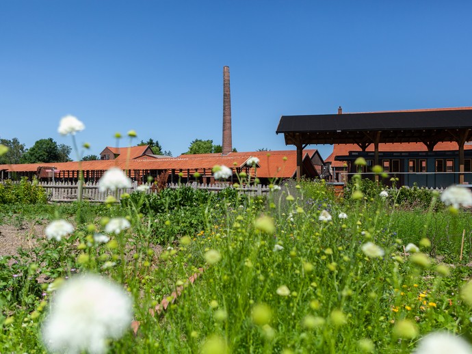 Eine Wildblumenwiese mit der Ziegelei im Hintergrund Eine Wildblumenwiese mit der Ziegelei im Hintergrund